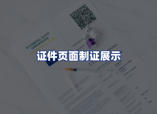证件页面制证展示
